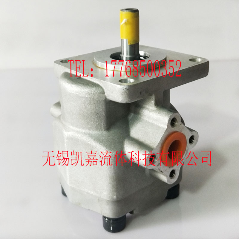 GPY-11.5R-4B/GPY-12-R 3R 4R 5R 6R 7R 8R 10R 11R GPY齿轮泵