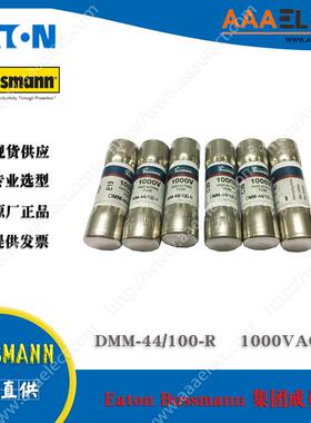 万用表F15BF17B保险丝DMM-B-44/100R DMM-44/100-R 10X35MM 440m