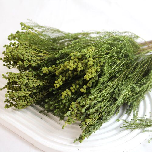 珊瑚干枝真花干花进口花束装饰摆设插花配花干果枝条
