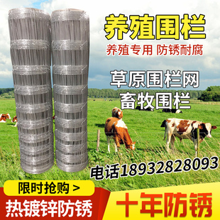 镀锌防锈铁丝网养殖网护栏网防护网牛栏网果园围栏养牛养羊家用网