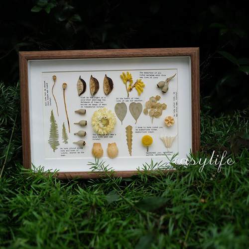 复古植物标本相框摆台客厅墙面装饰侘寂风装饰挂画小众礼物