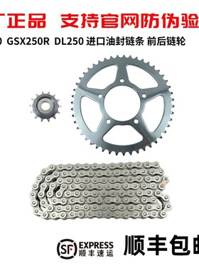 250套链GSgX250大小牙盘DL250大小链轮静音 油封链条链盘三件套