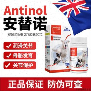 EAB 纽西兰安替诺Antinol 277髌骨脱位软骨素狗猫宠物关节鱼油W