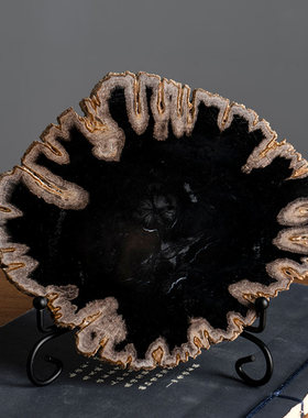 天然木化石切片桌面摆件博古架格子树化石装饰摆饰设计师样板房