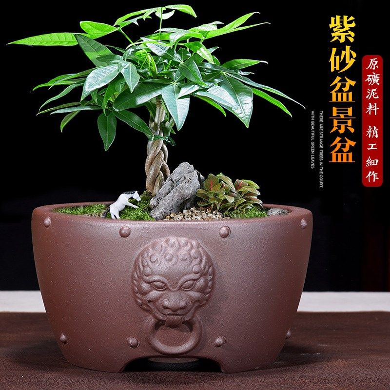 宜兴精品紫砂小号花盆老桩悬崖多肉菖蒲桌面园艺绿植盆景绿植陶瓷,鲜花速递/花卉仿真/绿植园艺,花盆,淘宝优惠券,粉丝福利购,淘宝优惠卷