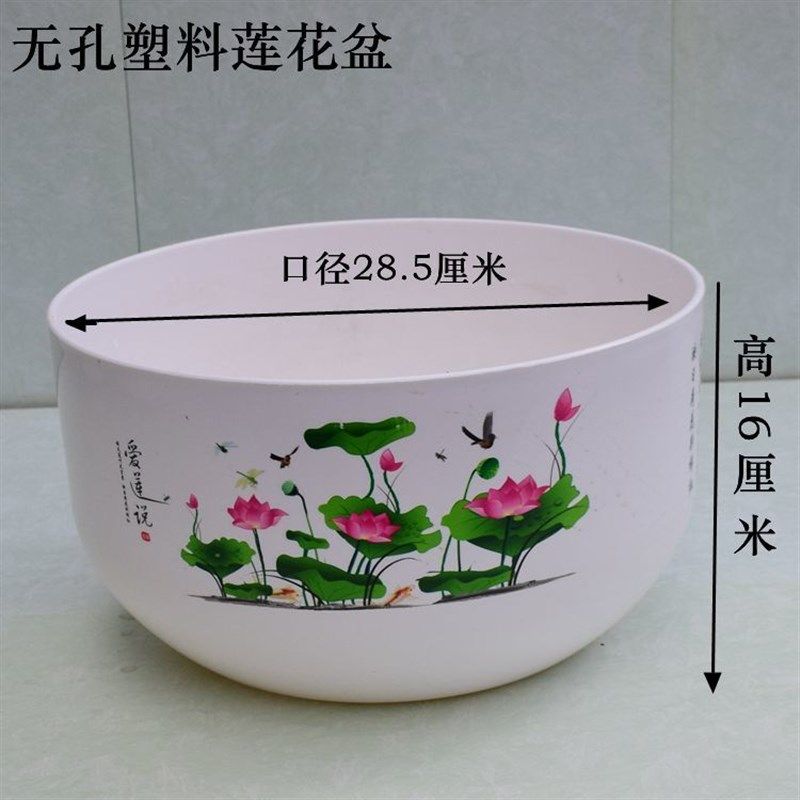 铜钱草睡莲碗莲盆无孔荷花盆塑料家用阳台庭院大号无孔鱼水培花盆,鲜花速递/花卉仿真/绿植园艺,花盆,淘宝优惠券,粉丝福利购,淘宝优惠卷