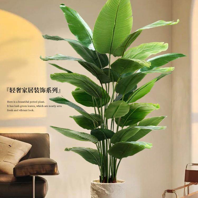 天堂鸟仿真绿植高端轻奢仿生花客厅大型室内盆栽摆件装饰树假植物,五金/工具,其他电线电缆,淘宝优惠券,粉丝福利购,淘宝优惠卷
