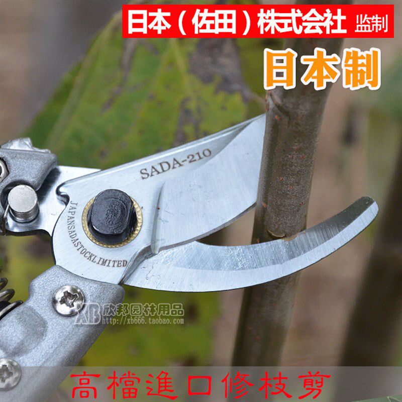 省力修枝剪园林工具花木剪树枝花枝大力剪子粗枝剪盆景剪