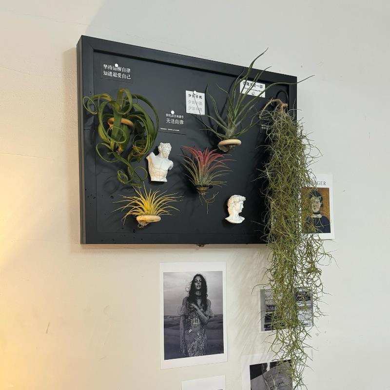 磁吸电表箱黑板DIY免打孔遮挡配电箱墙面遮丑磁吸空气凤梨ins风