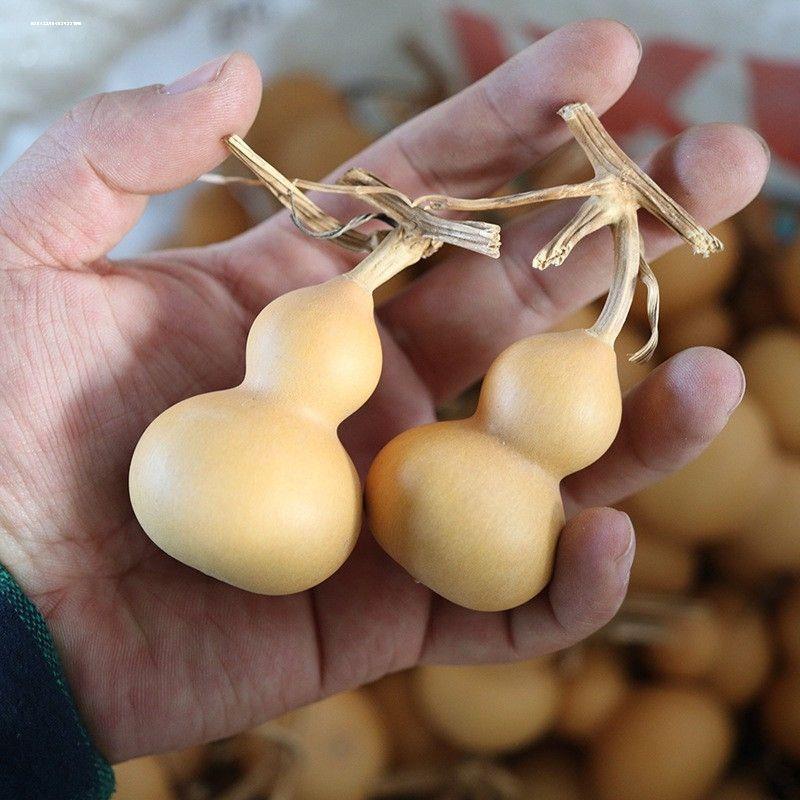 葫芦挂件大号摆件野生带龙头文玩小葫芦带藤家居真酒胡芦