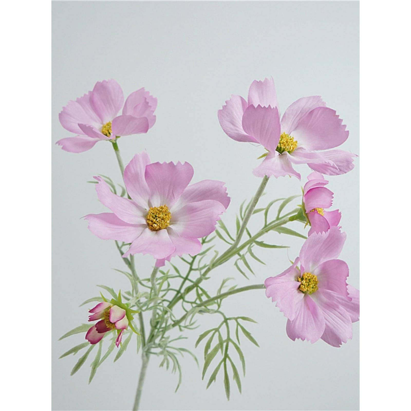 小清新彷真格桑花自然风花艺单枝波斯菊家居装饰插花摆件拍照道具