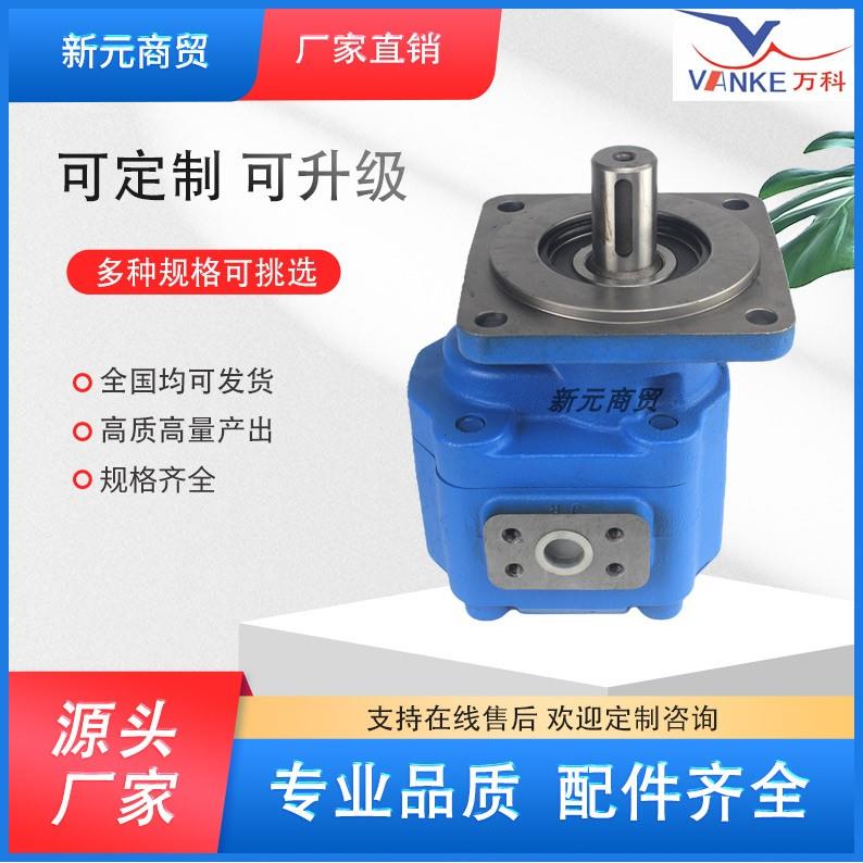 CBG2040/2050/2063/2080/2100齿轮泵CBGj、JHP型高压齿轮泵