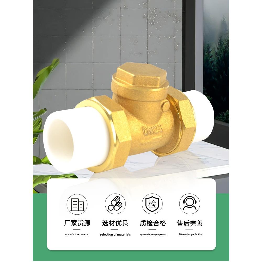 4/6分热熔止回阀黄铜卧立式逆止20/25PPR双活接自来水管表单向阀