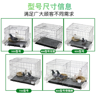 鸽子笼养殖笼鸽子配对笼大号鸽子笼家用带隔断繁殖鸽笼