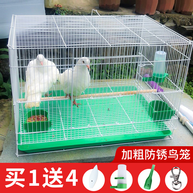 鸽子笼子鹌鹑鹦鹉鸟笼室外大号特大家用养殖芦丁鸡室内饲养箱