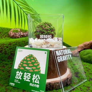 自然引力 放轻松创意松果鲜活苔藓微景观桌面好养绿植送人小礼品