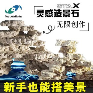 两只小鱼灵感造景石海缸培菌造景石免暴藻活石自然造景石随意摆放