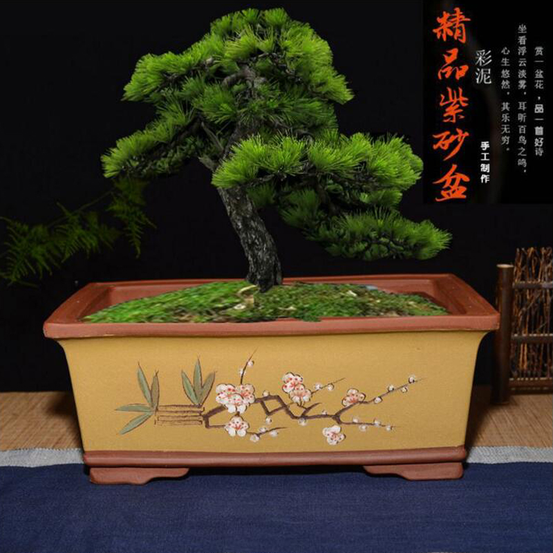 紫砂花盆 高档盆景盆 特大号擦金长四方花盆马槽假山 盆栽 榕树盆