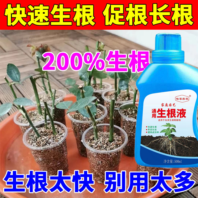 月季玫扦插必活液快速生根液玫瑰扦插移栽育苗生根剂植物通用液肥