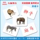 早教杜曼百科动物闪卡右脑潜能发宝宝儿童益智看图识字认知卡片