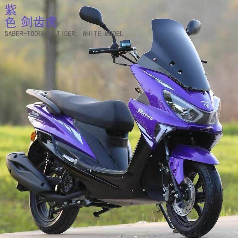 CNSY 益阳金城剑齿虎摩托车外壳改装配件前泥板 前围大灯挡风玻璃