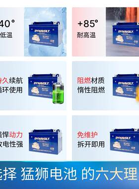 猛狮春风摩托车电瓶ST狒狒150/250NK/SR400NKGT650TR/MT国宾700CL