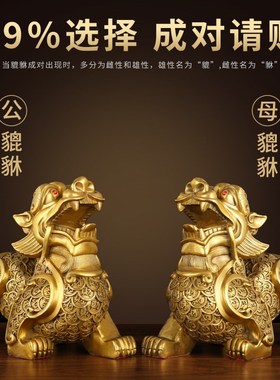 铜貔貅一对纯黄铜貔恘皮丘家居客厅店铺办公室大号貔犰业礼