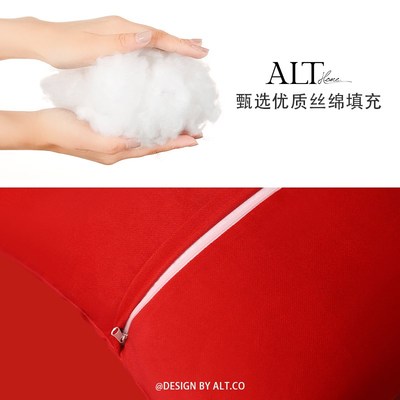 红色高端结婚喜字沙发抱枕套不含芯客厅轻奢高级感婚房靠枕头一对