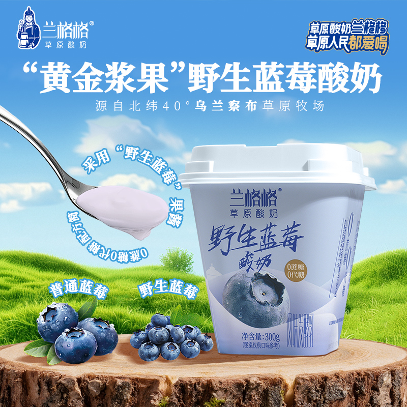 兰格格酸奶草原野生蓝莓300g杯装内蒙古草原酸奶无蔗糖风味发酵乳