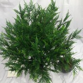 仿真柏树中号绿植迎客松美人松园林工程造景装 饰厂家直售