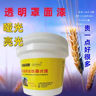 g水性罩面漆哑光亮光内外墙防水漆真石漆光油罩光漆