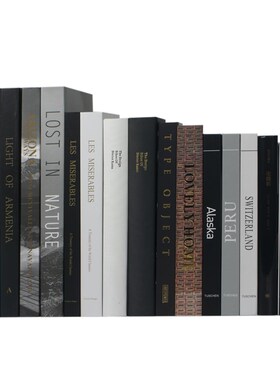 现代真书摆件装饰书书房书柜装饰品拍照道具