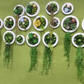 仿真圆形绿植框壁挂奶茶店墙壁挂墙 饰 创意墙体装