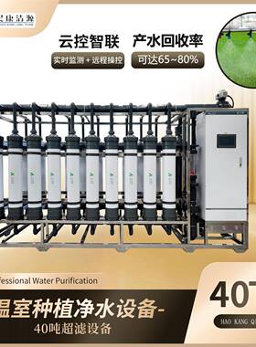 每小时40吨大型工业超滤装置净水器去离子净水设备温室种植超滤