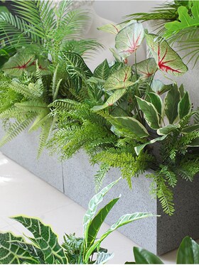 装饰仿真槽箱绿植造景大堂室内隔断散葵芭蕉装