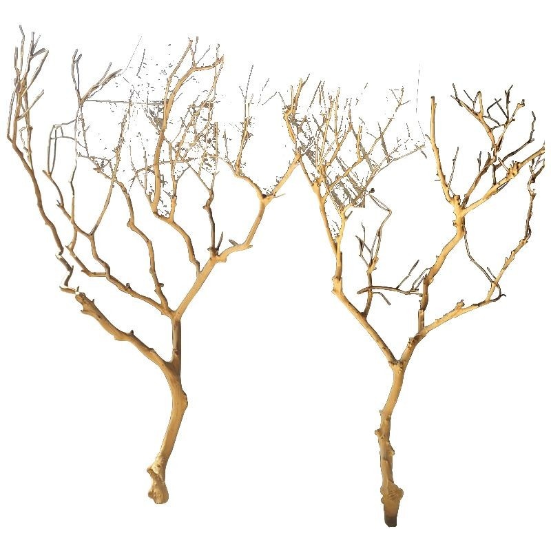 定做造型树枝白树干真树干造型许愿树橱窗装饰枯树树婚庆道具实木