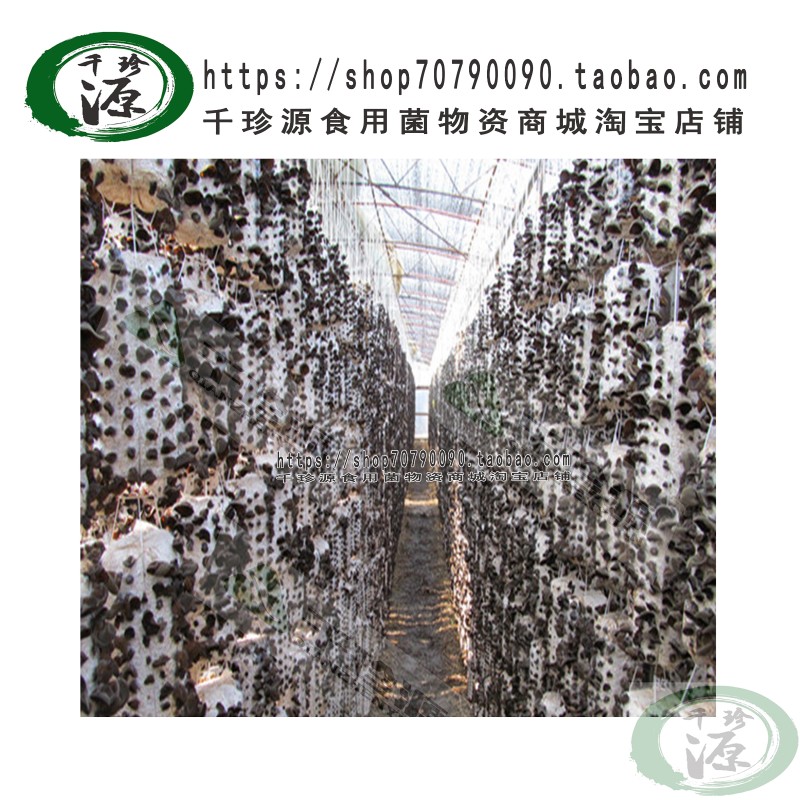 吊袋绳 木耳大棚吊绳 黑木耳吊袋用吊绳 吊袋绳 鱼线绳 食用菌