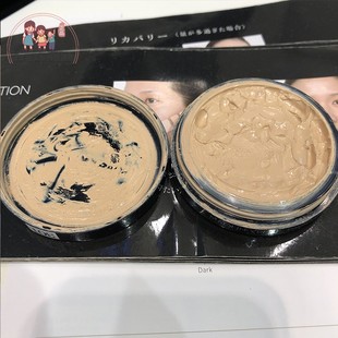 日本代购直邮 Cosme Decorte黛珂粉膏专业遮瑕膏控油清透持久粉霜