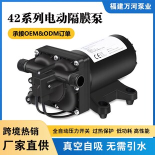 220V交流隔膜泵高扬程大流量自吸泵供水清洗110V增压抽水泵 F42款