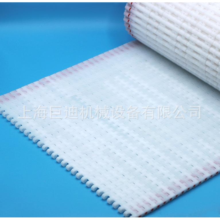 供应DM1270网带DM100-2检测线网带节距白色塑料PP聚丙烯塑料网