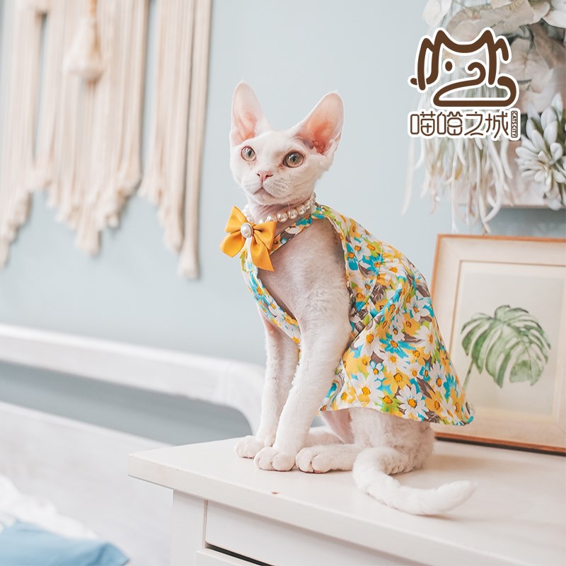 斯芬克斯无毛猫德文宠物猫咪纯棉猫宠物服装/雨衣（新