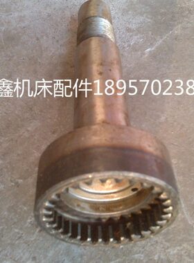 轴8.Z/配件6140/30强齿28/1  M联  L兰溪70内CL231车床75