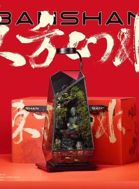 BANSHAN东方山水流水植物雨林缸家居网红小众摆件送领导解压送礼