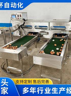 蛋品重量分级机鸡蛋鸭蛋皮蛋分级机精准分选鸡蛋大小蛋品分选机