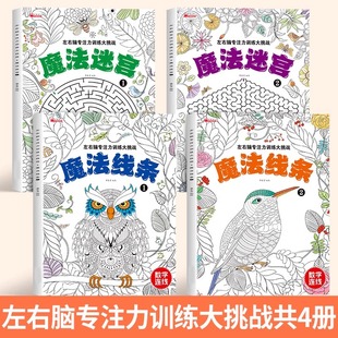 魔法线条迷宫数字连线画本6-7-8岁宝宝儿童专注力训练神器幼儿思维训练游戏小学生注意力益智书迷宫画本线条画临摹画画本魔法迷宫