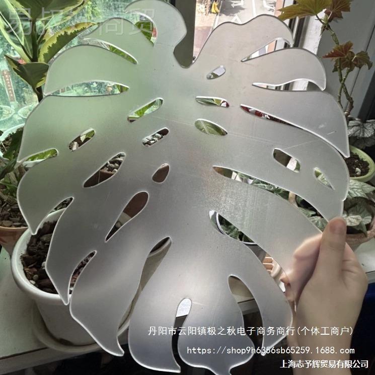 鹿角挂蕨板e角蕨亚克力板种植板上板背鹿板定植鹿角龟背竹形IHZDa图片