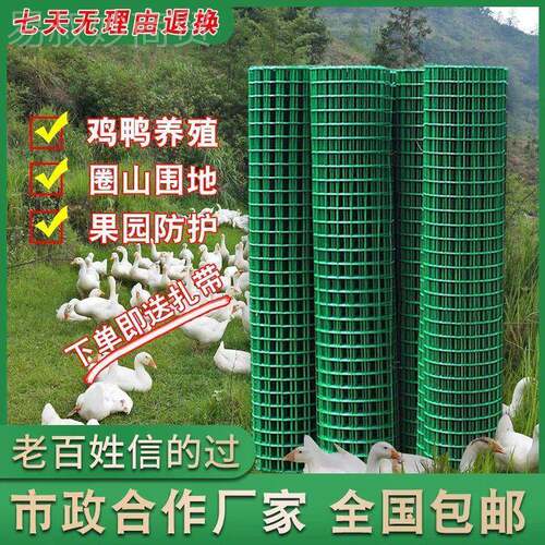 防锈铁丝网YTB网养殖隔网养鸡围栏网拦鸡果园防网护网护栏栅栏离