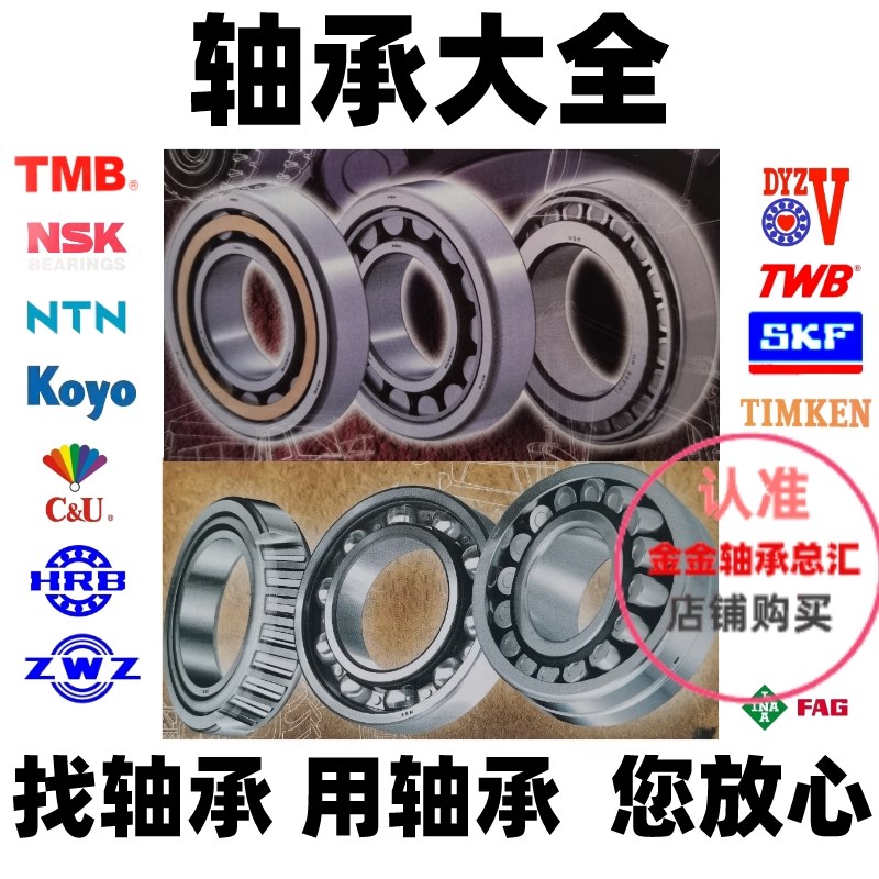 TWB TMB 汽车变速齿轮箱轴承NJ207E NUP307ENV NUP2209EN带卡簧槽