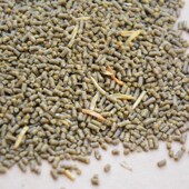 七贤庄百灵鸟食饲料百灵提性发口唱鸟料营养鸟粮