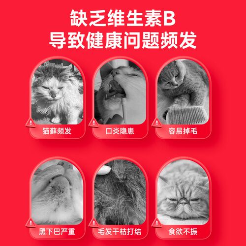 谷登【天然】猫咪维生素b猫用片剂有助改善掉毛宠物400%吸收率